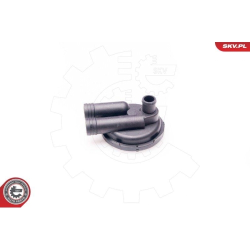 ESEN SKV Ventil, Kurbelgehäuseentlüftung