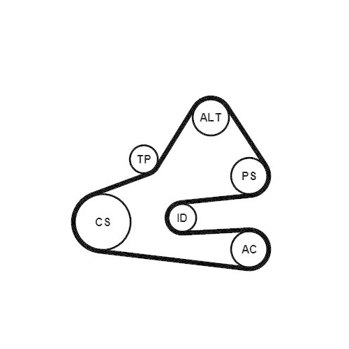 CONTINENTAL CTAM Keilrippenriemensatz