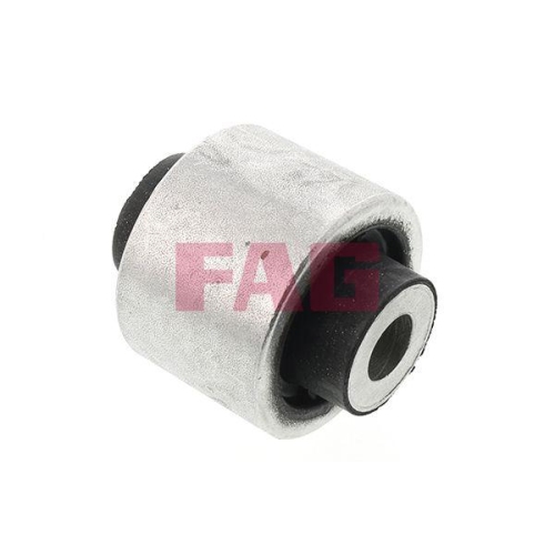 Schaeffler FAG Lagerung, Lenker