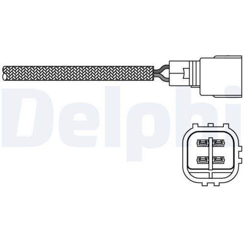 DELPHI Lambdasonde