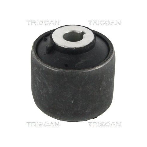 TRISCAN Lagerung, Lenker