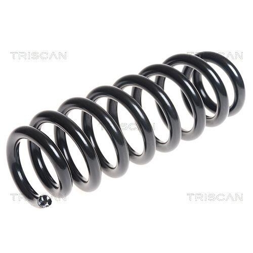 TRISCAN Fahrwerksfeder