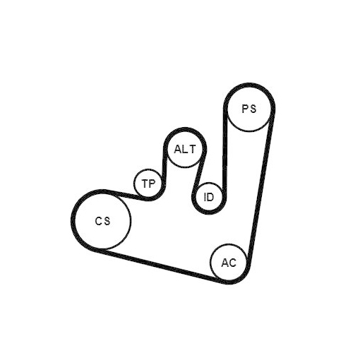 CONTINENTAL CTAM Keilrippenriemensatz