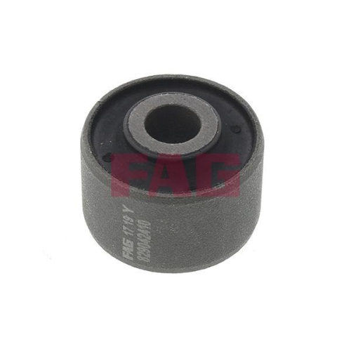 Schaeffler FAG Lagerung, Lenker