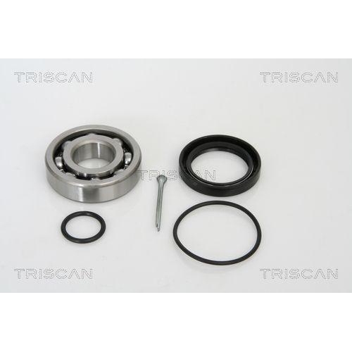 TRISCAN Radlagersatz