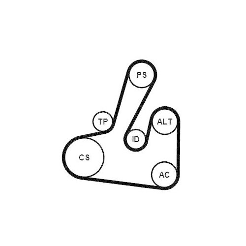 CONTINENTAL CTAM Keilrippenriemensatz