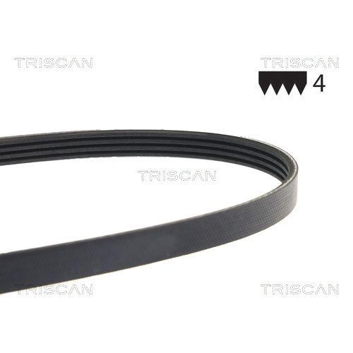 TRISCAN Keilrippenriemen