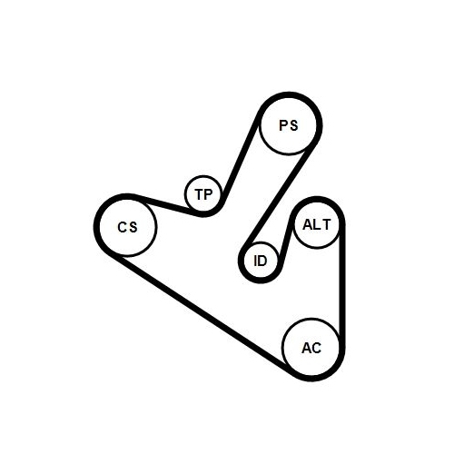 CONTINENTAL CTAM Keilrippenriemensatz