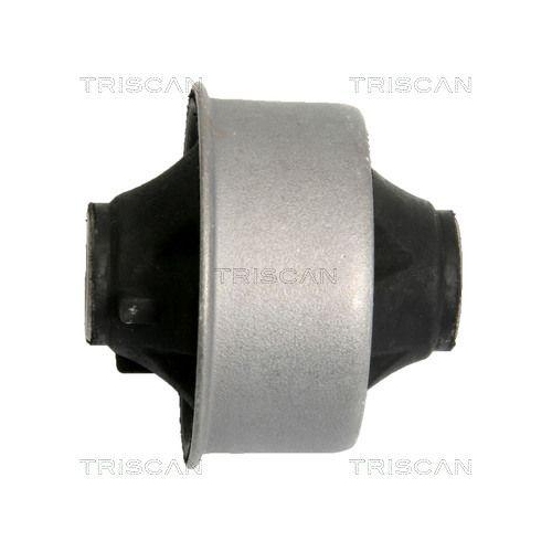 TRISCAN Lagerung, Lenker