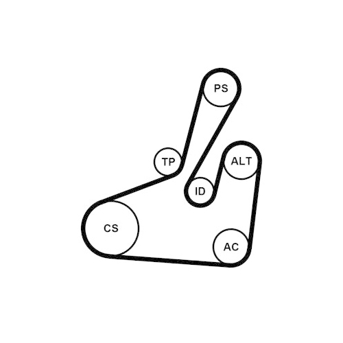CONTINENTAL CTAM Keilrippenriemensatz
