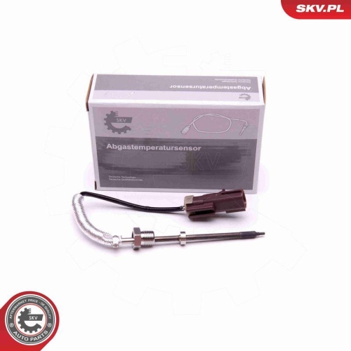 ESEN SKV Sensor, Abgastemperatur