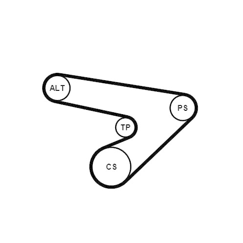 CONTINENTAL CTAM Keilrippenriemensatz