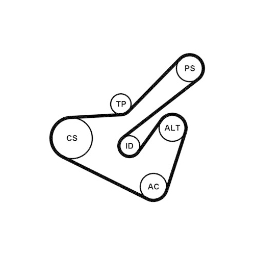 CONTINENTAL CTAM Keilrippenriemensatz