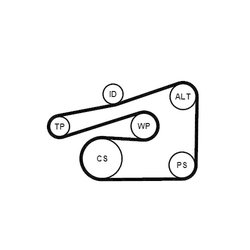 CONTINENTAL CTAM Keilrippenriemensatz