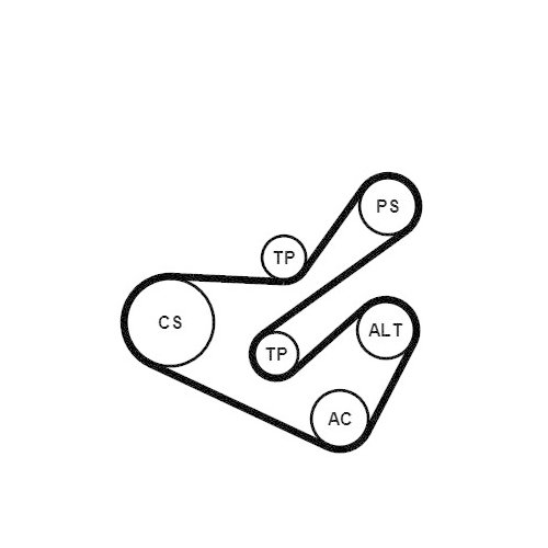 CONTINENTAL CTAM Keilrippenriemensatz