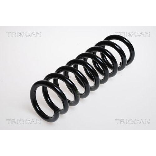 TRISCAN Fahrwerksfeder