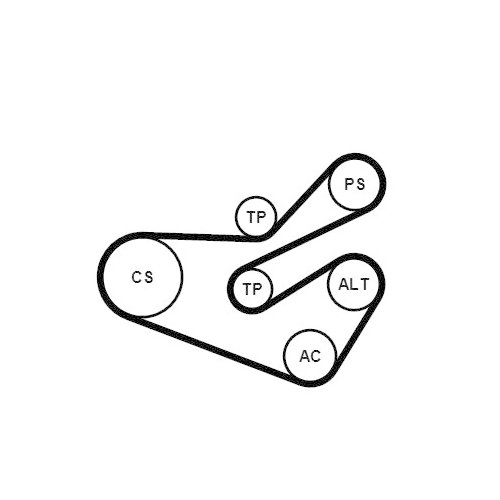 CONTINENTAL CTAM Keilrippenriemensatz