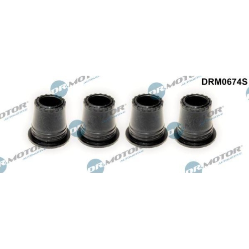 Dr.Motor Automotive Dichtung, Düsenhalter