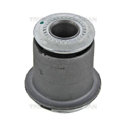 TRISCAN Lagerung, Lenker