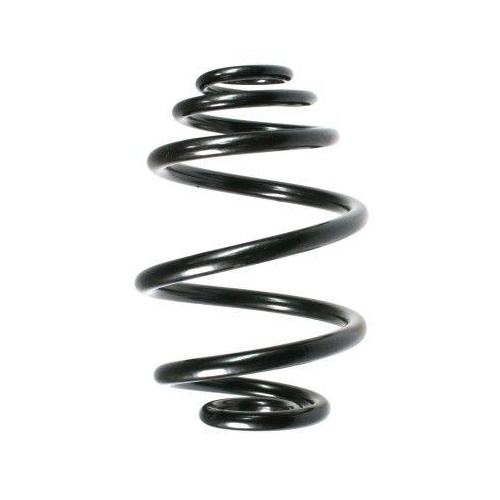 SPIDAN Fahrwerksfeder