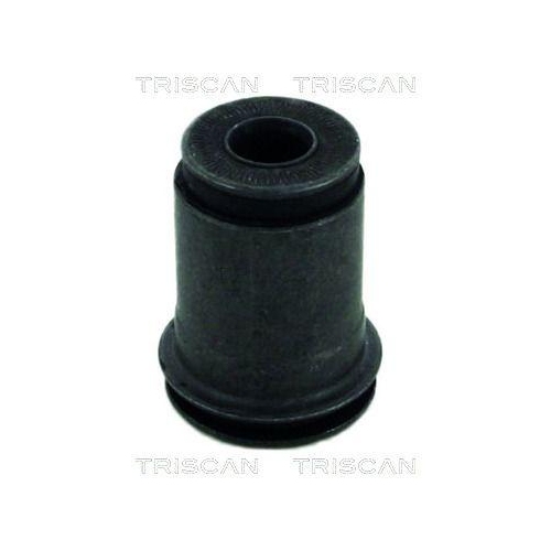 TRISCAN Lagerung, Lenker