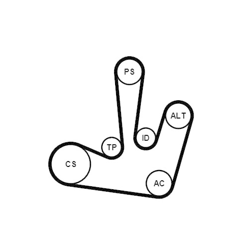 CONTINENTAL CTAM Keilrippenriemensatz
