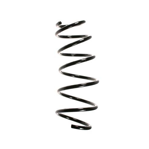 SPIDAN Fahrwerksfeder