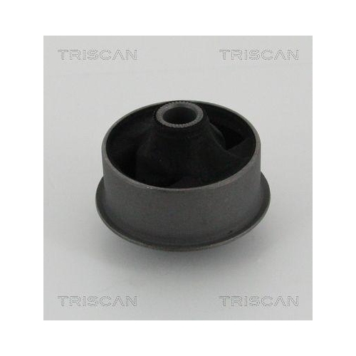 TRISCAN Lagerung, Lenker