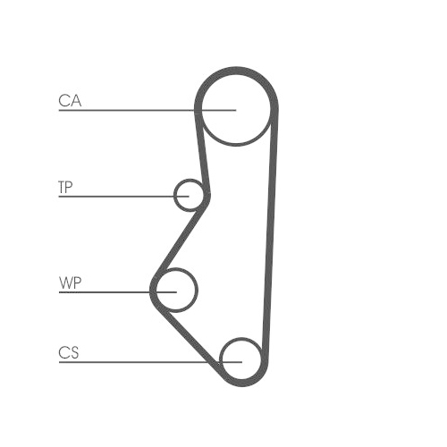 CONTINENTAL CTAM Zahnriemen