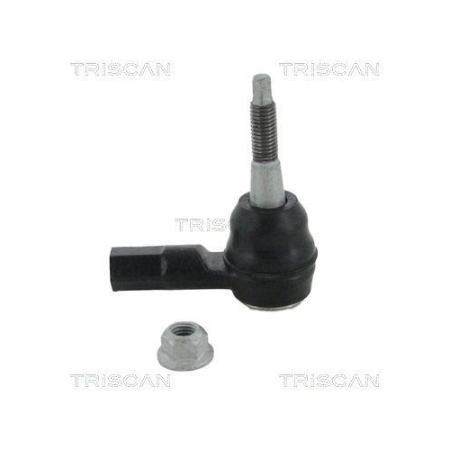 TRISCAN Spurstangenkopf