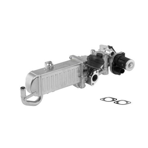 BorgWarner (Wahler) AGR-Modul OE-Version/Erstausrüstung