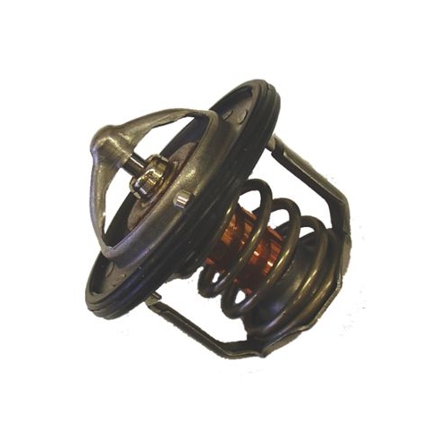 BorgWarner (Wahler) Thermostat, Kühlmittel