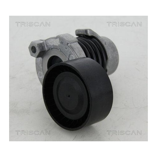 TRISCAN Riemenspanner, Keilrippenriemen