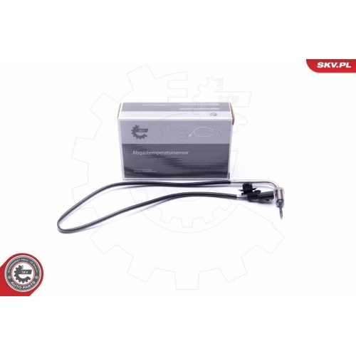 ESEN SKV Sensor, Abgastemperatur