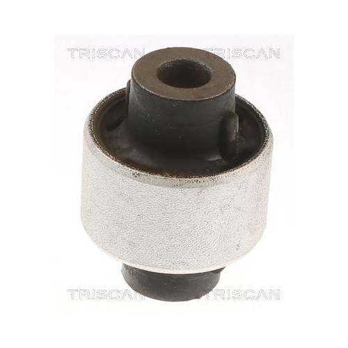 TRISCAN Lagerung, Lenker