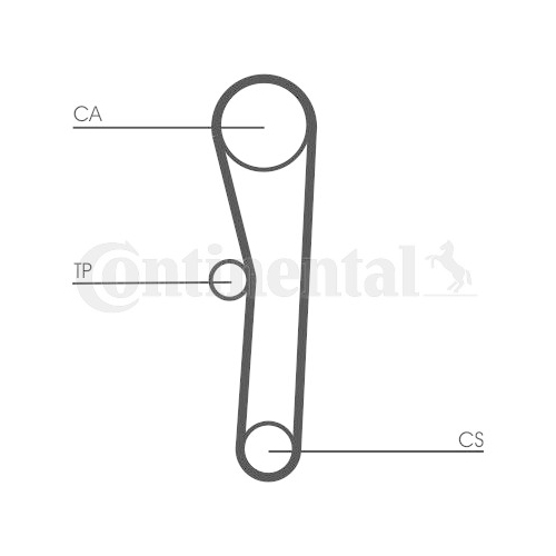 CONTINENTAL CTAM Zahnriemen