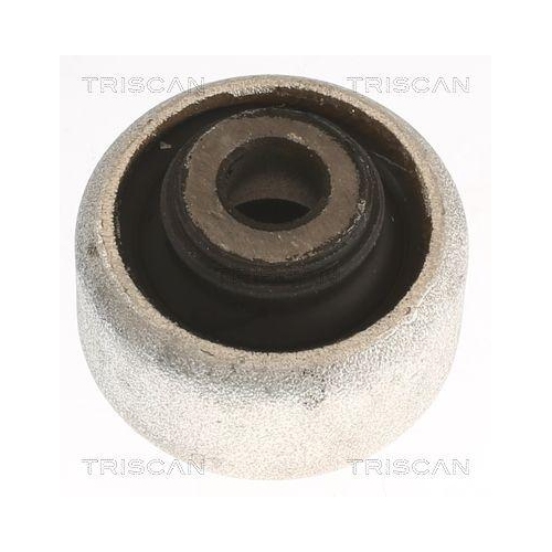 TRISCAN Lagerung, Lenker