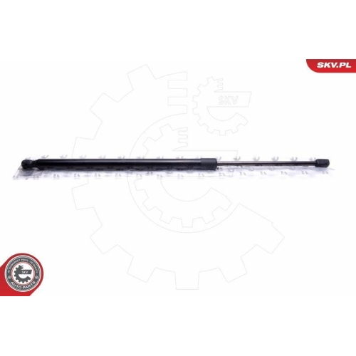 ESEN SKV Gasfeder, Koffer-/Laderaum