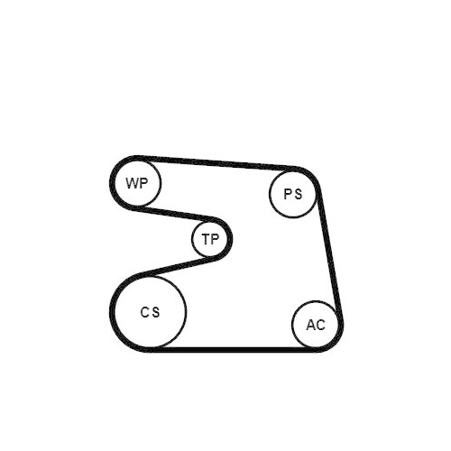 CONTINENTAL CTAM Keilrippenriemensatz