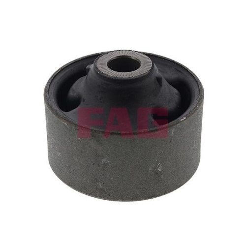 Schaeffler FAG Lagerung, Lenker