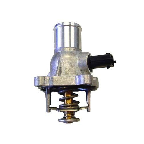 BorgWarner (Wahler) Thermostat, Kühlmittel