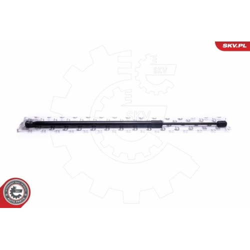 ESEN SKV Gasfeder, Koffer-/Laderaum