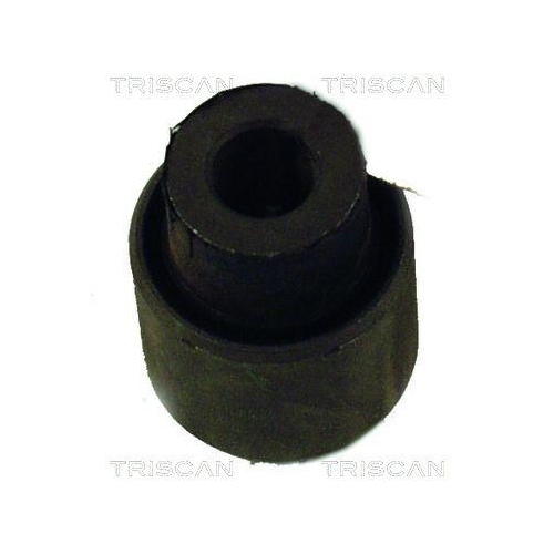 TRISCAN Lagerung, Lenker