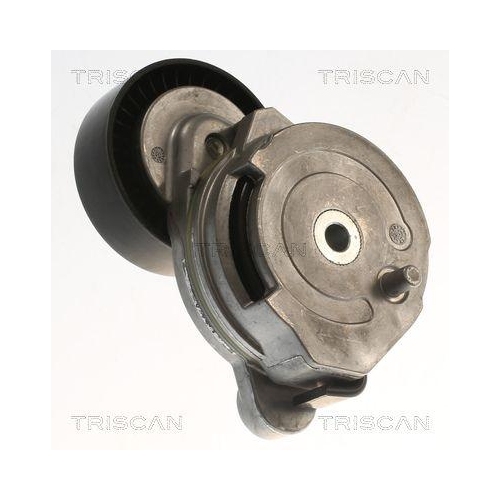 TRISCAN Riemenspanner, Keilrippenriemen