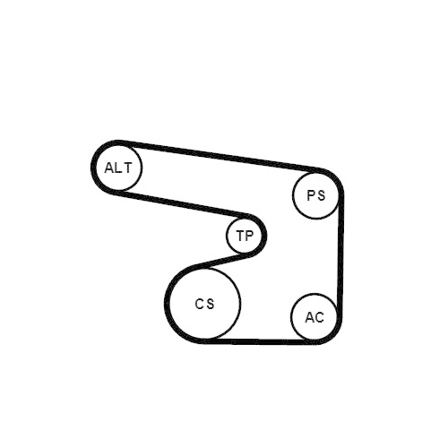 CONTINENTAL CTAM Keilrippenriemensatz