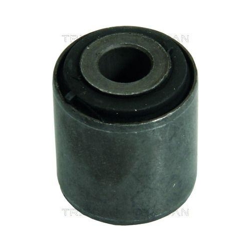 TRISCAN Lagerung, Lenker