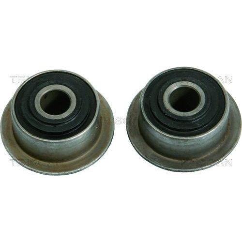 TRISCAN Lagerung, Lenker