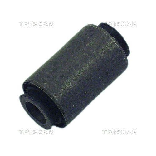 TRISCAN Lagerung, Lenker