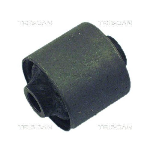TRISCAN Lagerung, Lenker