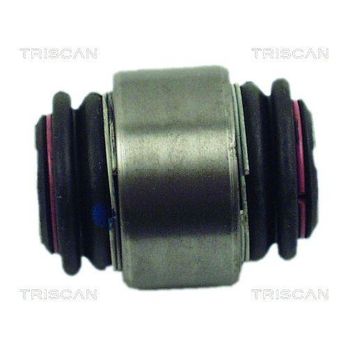 TRISCAN Lagerung, Lenker